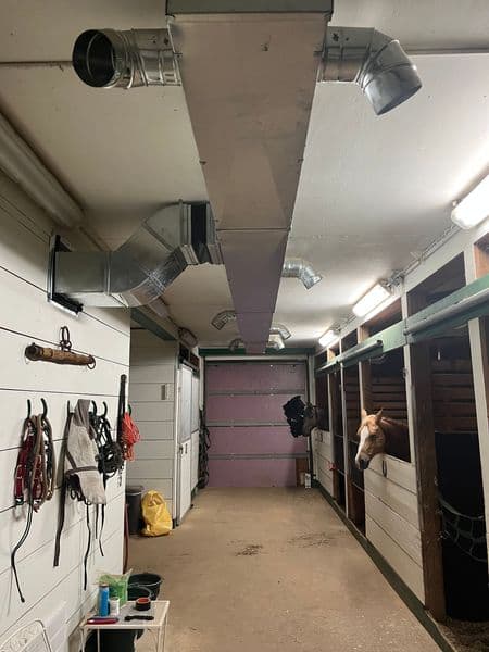 Ventilated horse stable interior with ductwork and horse in adjacent stall.
