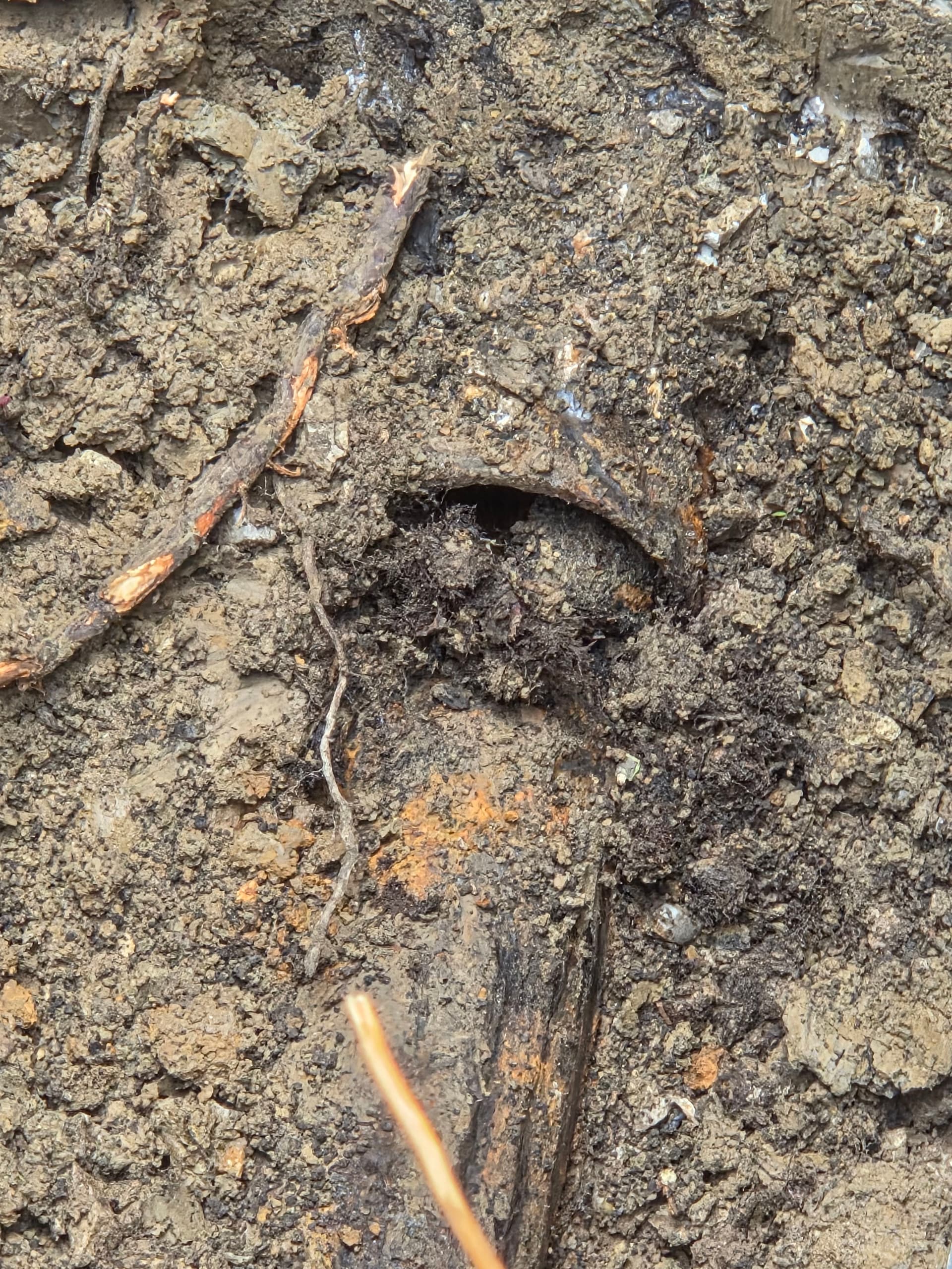 Gallery photos for Failed Cast Iron Sewer Line Replacement at a Residential Home: Image #3